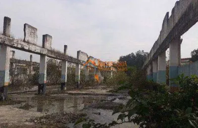 Área para alugar, 6000 m² por r$ 12.317,00/mês - pimentas - guarulhos/sp