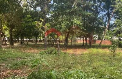 Terreno à venda na Avenida São Luís Rei de França, Turu, São Luís
