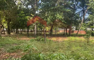 Terreno à venda na Avenida São Luís Rei de França, Turu, São Luís