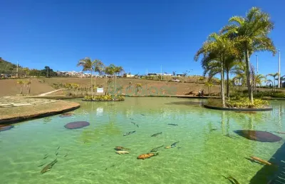 Terreno à venda, 304 m² por r$ 410.000,00 - estrela alta - juiz de fora/mg