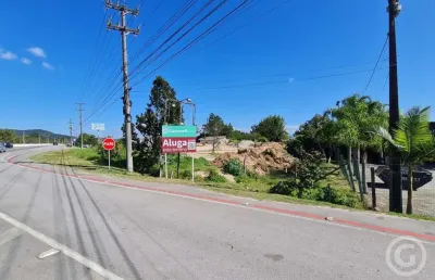 Terreno amplo em localização estratégica para aluguel - florianópolis