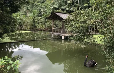 Chácara / sítio com 3 quartos à venda na rua minas da prata, 1073, progresso, blumenau, 160 m2 por r$ 2.500.000