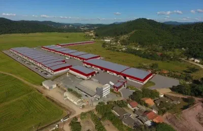 Terreno comercial à venda na rua vidal flávio dias, 4200, belchior baixo, gaspar, 1543 m2 por r$ 1.250.000