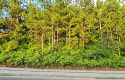 Terreno comercial à venda na avenida 21 de janeiro, centro, pomerode por r$ 2.800.000