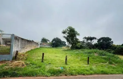 Terreno à venda, 1510 m² por r$ 990.000,00 - jardim caviuna - rolândia/pr