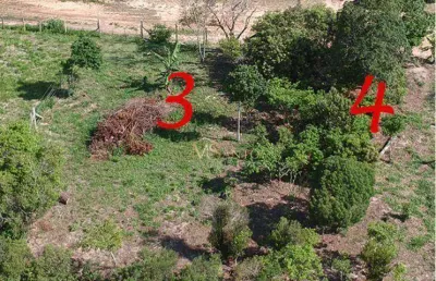 Terreno à venda, 353 m² por r$ 340.000,00 - são joão do rio vermelho - florianópolis/sc