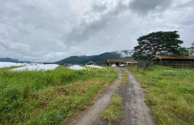 Fazenda à venda, 800000 m² por r$ 8.000.000,00 - paulo lopes - paulo lopes/sc