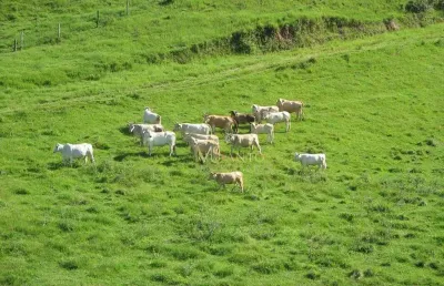 Fazenda à venda, 640000 m² por r$ 3.710.000,00 - aratingauba - imaruí/sc