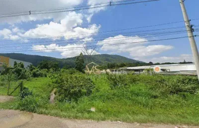 Terreno à venda, 5000 m² por r$ 2.700.000,00 - santo antônio de lisboa - florianópolis/sc