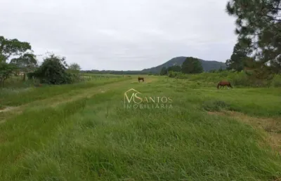 Terreno à venda, 48230 m² por r$ 12.850.000,00 - são joão do rio vermelho - florianópolis/sc