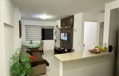 Real celebration - apartamento 1 quarto -  águas claras