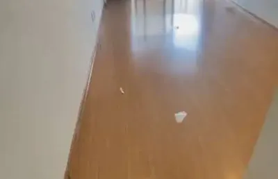 Apartamento com 1 quarto para alugar na rua rouxinol, 762, moema, são paulo por r$ 3.100