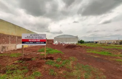 Terreno para alugar, 2400 m² - parque industrial buena vista - londrina/pr