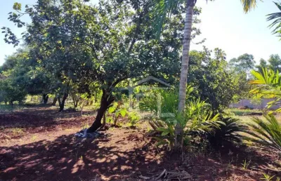 Chácara à venda, 20012 m² por r$ 1.200.000,00 - fazenda nata - londrina/pr