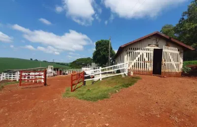 Fazenda à venda, 363000 m² por r$ 13.000.000,00 - bratislava - cambé/pr