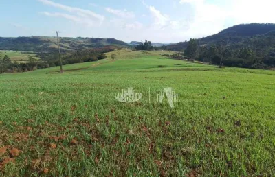 Sítio à venda, 212960 m² por r$ 2.000.000,00 - zona rural - tamarana/pr