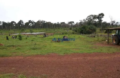 Fazenda à venda, 14520000 m² por r$ 18.200.000,00 - são francisco - óbidos/pa