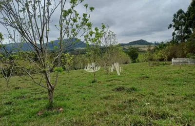 Chácara com 3 quartos  à venda, 62007 m² por r$ 550.000 - zona rural - tamarana/pr