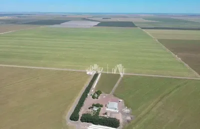Fazenda à venda em uruçui - piaui, 2.485 hectares por r$ 53.100.000  - uruçuí/pi