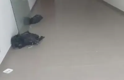 Ponto comercial à venda na Praia de Itaparica, Vila Velha 