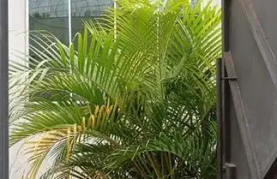 Casa com 3 quartos à venda em laranjeiras, uberlândia  por r$ 500.000