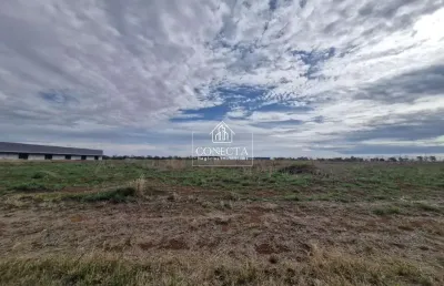 Terreno com 12.788m² no centro empresarial leste ii