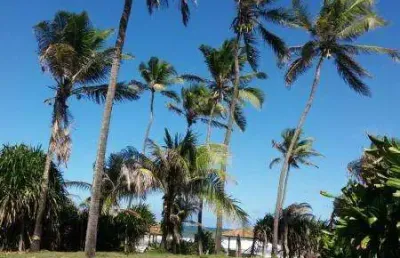 Terreno para venda em lauro de freitas, vilas do atlântico