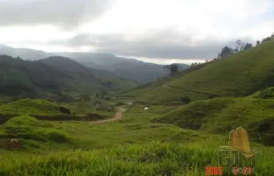 Terreno à venda na sc 407, 01, santa filomena, são pedro de alcântara por r$ 650.000