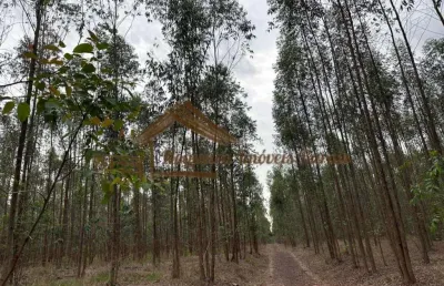 Fazenda para venda em botucatu, área rural de botucatu