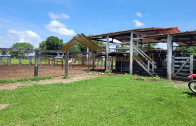 Fazenda à venda na Zona Rural, Cocalinho 