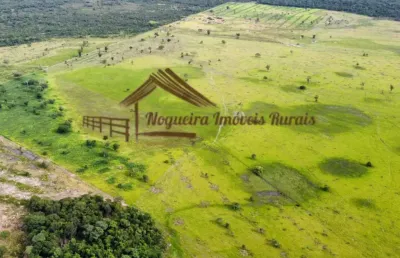 Fazenda para venda em formoso do araguaia, área rural