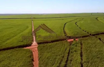 Fazenda para venda em pereira barreto, área rural de pereirra barreto