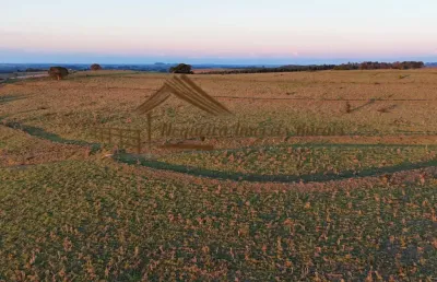 Fazenda à venda na Zona Rural, Bofete 