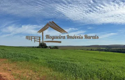 Fazenda para venda em paranapanema, área rural de paranapanema