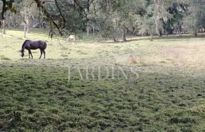 Fazenda à venda na Estrada Municipal Omacir Simões Da Rocha, -, Zona Rural, Campina Grande do Sul