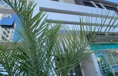 Apartamento com 2 quartos à venda na avenida joaquim couto, 6885, gravata, navegantes por r$ 770.000