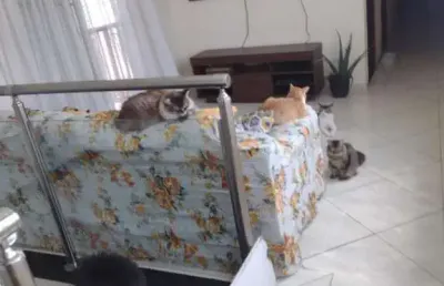 Casa para venda em suzano, cidade boa vista, 4 dormitórios, 1 suíte, 3 banheiros, 2 vagas