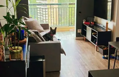 Cond. reserva morumbi: apartamento à venda com 64m e 3 quartos- jardim monte kemel, são paulo.