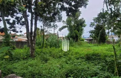Terreno à venda, 440 m² por r$ 210.000,00 - massaguaçu - caraguatatuba/sp