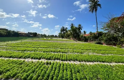 Terreno à venda na Rua do Maria Hilária, SN, Lagoa Redonda, Fortaleza