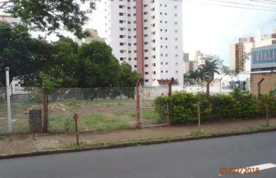 Terreno comercial para alugar no Centro, São José do Rio Preto 