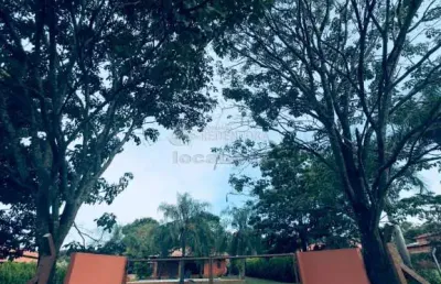 Chácara / sítio com 4 quartos para alugar na Zona Rural, Adolfo 