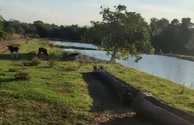 Fazenda à venda no Setor Central, Cachoeira Alta 