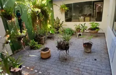 Casa com 3 quartos à venda na Vila Dório, São José do Rio Preto 