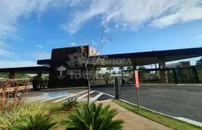 Terreno à venda no Residencial Figueira II, São José do Rio Preto 