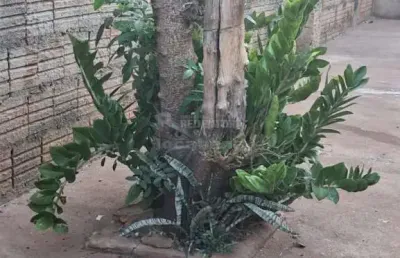 Casa localizada no parque residencial nova esperança com 2 dormitórios e 3 vagas de garagem.