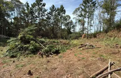 Terreno à venda no palmeiras de são paulo, suzano  por r$ 140.000