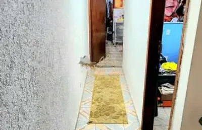 Casa com 3 quartos à venda na Rua Engenheiro Caio Dias Batista, Jardim Apura, São Paulo