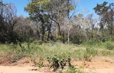 Terreno à venda na Alameda Tijuca, Vale do Igapó, Bauru