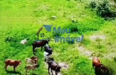 Chácara / sítio com 5 quartos à venda na Área Rural, S/n, Área Rural de Luziânia, Luziânia